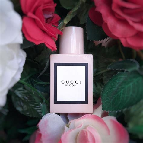 profumo gucci unisex|gucci bloom perfume knock off.